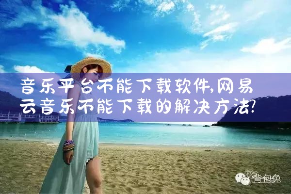 音乐平台不能下载软件