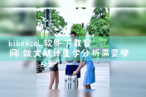 bibexcel软件下载官网