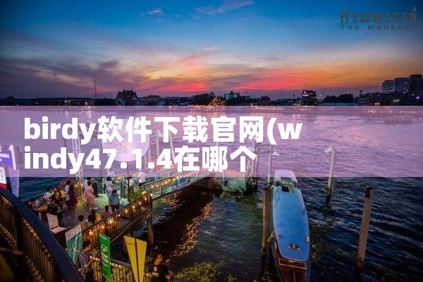 birdy软件下载官网