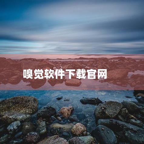 企业回防串货软件是我们广州易全信息科技有限公司专为解决商品跨区销售问题而开发的高效管理工具。该软件通过先进的追踪技术，实时监控产品流向，有效防止经销商跨区窜货，维护市场秩序。它具备数据可视化功能，让管|