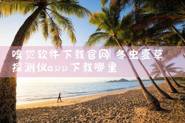 嗅觉软件下载官网