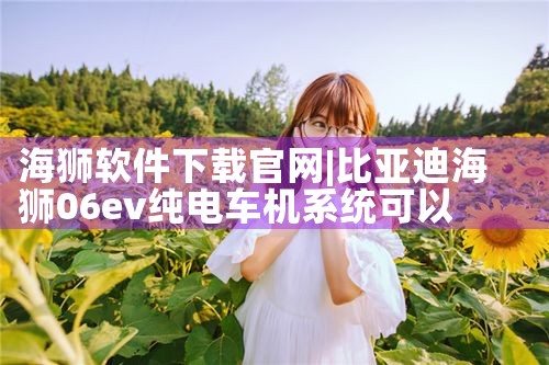 海狮软件下载官网