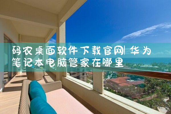 码农桌面软件下载官网