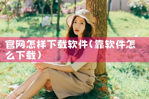 官网怎样下载软件