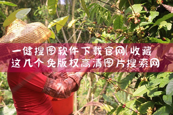 一健搜图软件下载官网
