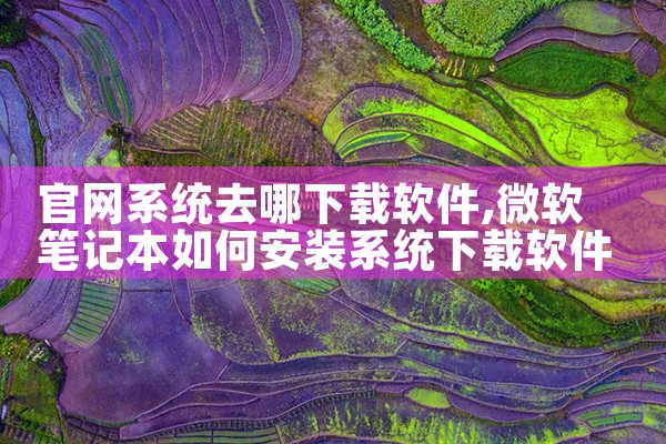 官网系统去哪下载软件