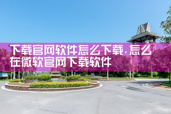 下载官网软件怎么下载